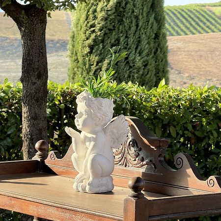 Agriturismo Il Raduno - Max Lelli Marsiliana Exteriör bild