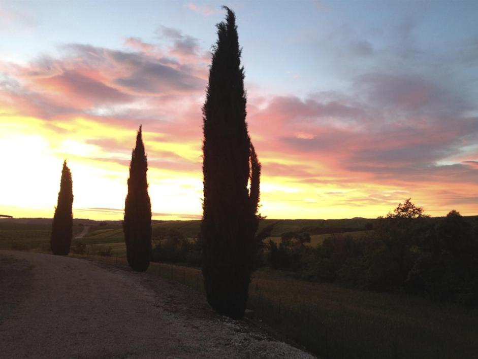 Agriturismo Il Raduno - Max Lelli Marsiliana Exteriör bild